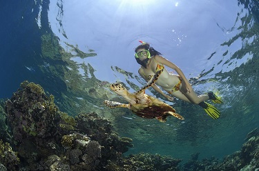 Snorkeling at RSDS!